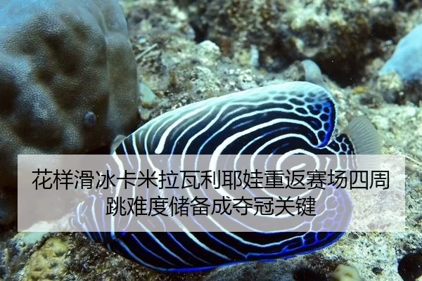 花样滑冰卡米拉瓦利耶娃重返赛场四周跳难度储备成夺冠关键